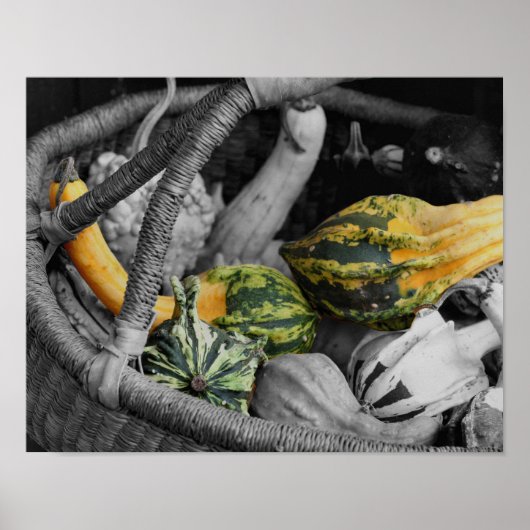 ウィッファンシーカーのバスケットの部分的な色の瓢箪 ポスター (正面)