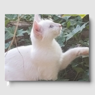 ウィテカートゲストブック ゲストブック