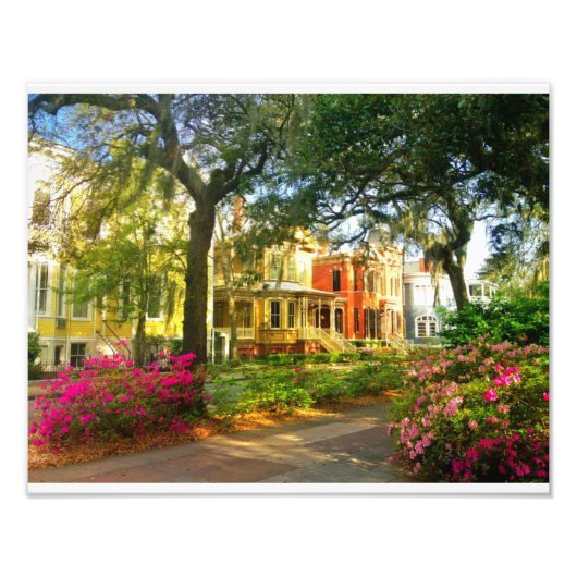 ウィテカー通り3月 フォトプリント            (正面)