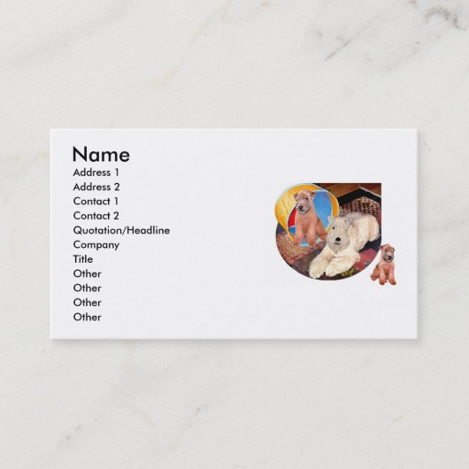 ウィテンテリア&フープ 名刺 (正面)