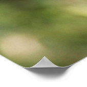 ウィドウ・スキマー ポスター (角)