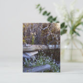 ウィドベイ島1 ポストカード (スタンド正面)