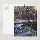 ウィドベイ島1 ポストカード (正面/裏面)