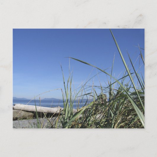 ウィドベイ島5 ポストカード (正面)