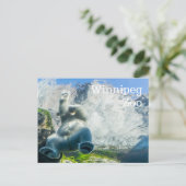 ウィニペグの動物園の白くま シーズンポストカード (スタンド正面)