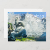 ウィニペグの動物園の白くま シーズンポストカード (正面/裏面)