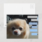 ウィニー引用文 ポストカード (正面/裏面)