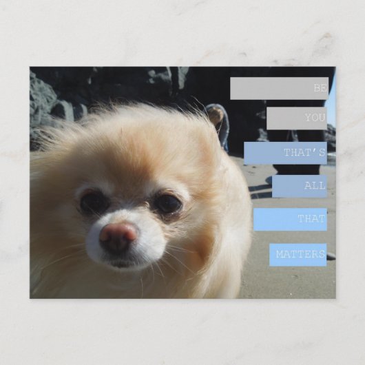 ウィニー引用文 ポストカード (正面)