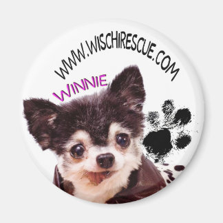 ウィニー磁石 マグネット