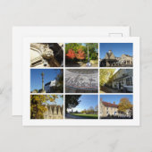 ウィニー ポストカード (正面/裏面)