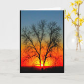 ウィネバゴ考えるサンセットオブユー カード (黄色い花)