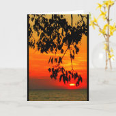 ウィネバゴ考えるサンセットオブユー カード (黄色い花)