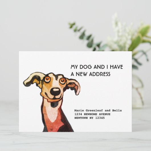 ウィペットと私たちの引っ越し、フラット発表カード 案内状 (スタンド正面)