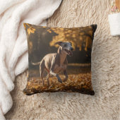 ウィペットエレガント装飾用クッション クッション (ブランケット)