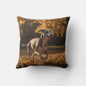 ウィペットエレガント装飾用クッション クッション (裏面)