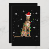 ウィペットクリスマスライトカワイサンタウィペットクリスマス シーズンカード (正面/裏面)
