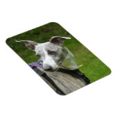 ウィペット冷蔵庫用マグネット マグネット (右側)