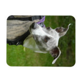 ウィペット冷蔵庫用マグネット マグネット (横)