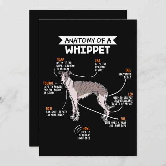 ウィペット犬のおもしろい犬愛者の贈り物の解剖学 サンキューカード (正面/裏面)