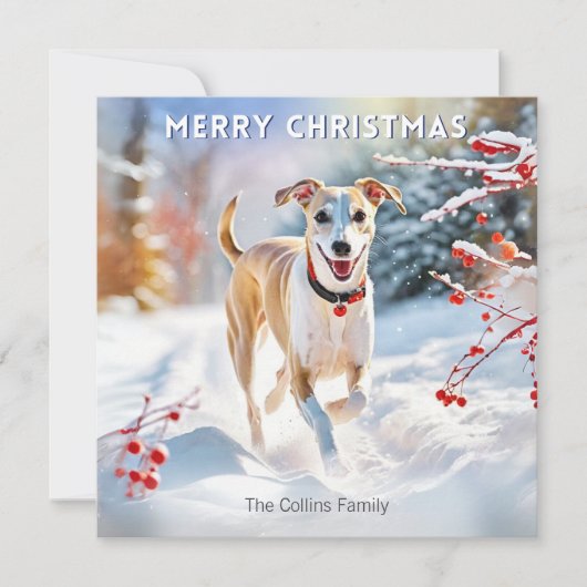 ウィペット犬の雪中散歩 クリスマスおめでとう シーズンカード (正面)