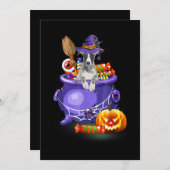 ウィペット 犬 魔女の帽子 キャンディ パンプキン ハロウィン シーズンカード (正面/裏面)