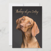 ウィマラ考えナー犬のカード 招待状 (正面)