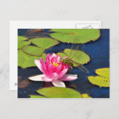 ウィムシーのはがき ポストカード (正面/裏面)