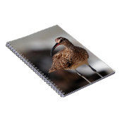 ウィムブレル ノートブック (右側)