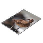 ウィムブレル ノートブック (左側)