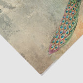 ウィメンピーコック質感レター 薄葉紙 (詳細)