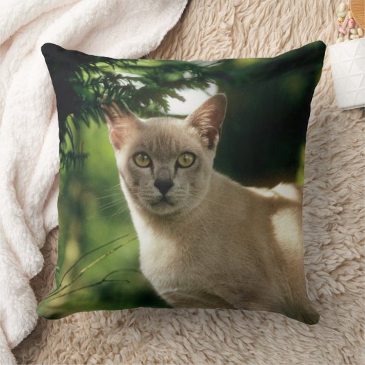 ウィラム。 クッション (ブランケット)