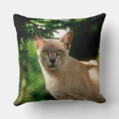 ウィラム。 クッション (裏面)