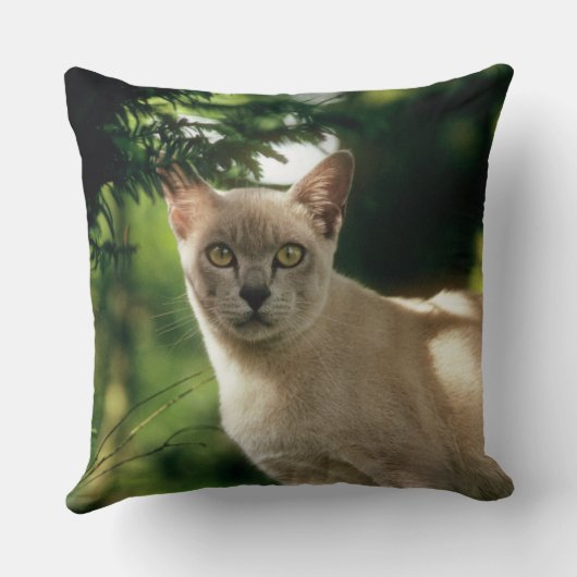 ウィラム。 クッション (裏面)