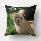 ウィラム。 クッション (正面)