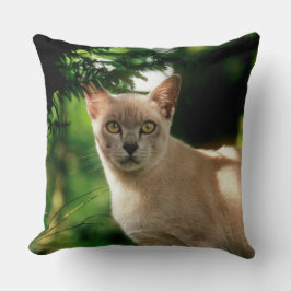 ウィラム。 クッション