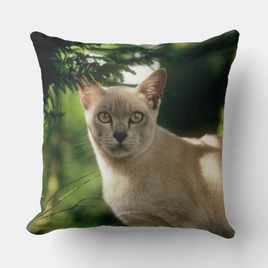 ウィラム。 クッション (正面)