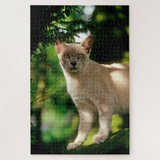 ウィラム。 ジグソーパズル