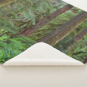 ウィラメット国有林 |オレゴン シェルパブランケット (3/4)