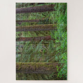 ウィラメット国有林 |オレゴン ジグソーパズル (縦)