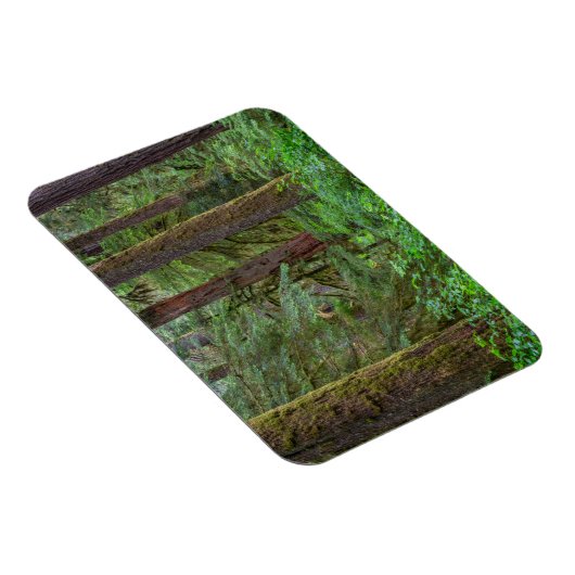 ウィラメット国有林 |オレゴン マグネット (右側)