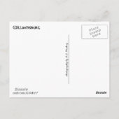 ウィリアムスバーグ(バージニア)コラージュ1 ポストカード (裏面)