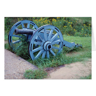 ウィリアムズバーグの大砲1