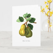 ウィリアムズボンクレティエンピア カード (黄色い花)