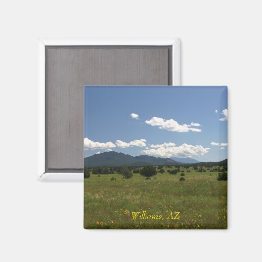 ウィリアムズAZ マグネット (正面/裏面)