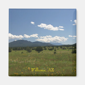 ウィリアムズAZ マグネット