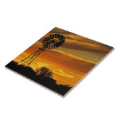 ウィリアム·クリーク·オッダッタ タイル (側面)