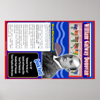 ウィリアム・ゴールウェイ・ドノヴァン伝記 ポスター