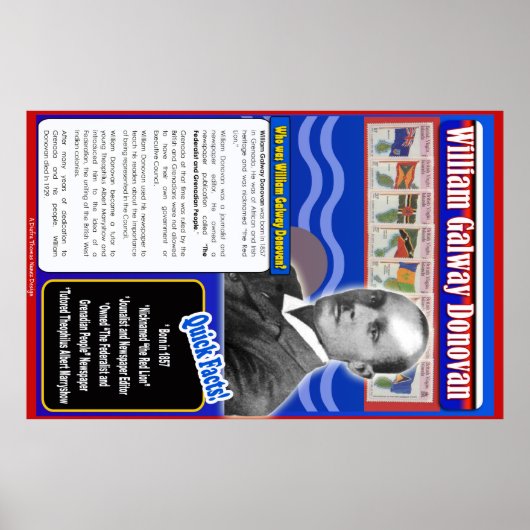 ウィリアム・ゴールウェイ・ドノヴァン伝記 ポスター (正面)