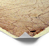 ウィリアム・シェイクスピアの遺言 ポスター (角)