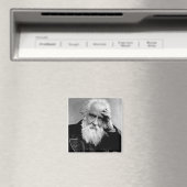 ウィリアム・ハギンス， 1910 マグネット (インサイチュ (食洗機))